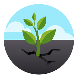 Green Plant 5x5 Green Plant 5x5