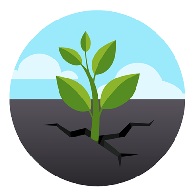 Green Plant 5x5 Green Plant 5x5